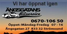 Ängsgatans1